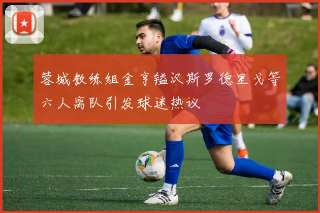 蓉城教练组金亨镒汉斯罗德里戈等六人离队引发球迷热议